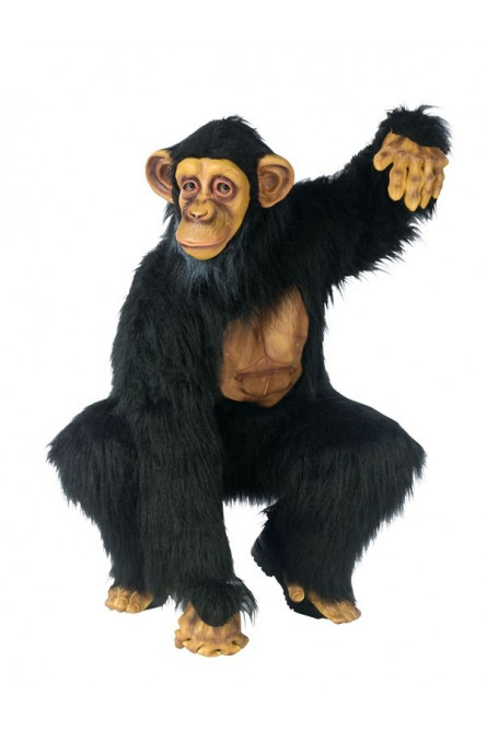 Костюм шимпанзе