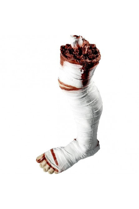 Оторванная нога мумии