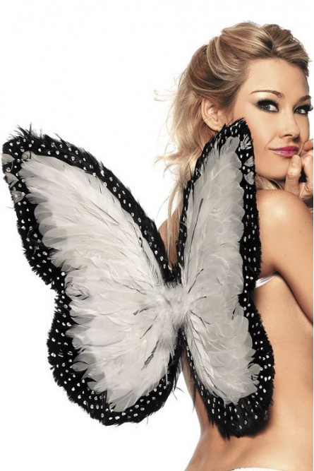 Перьевые крылья бабочки белые