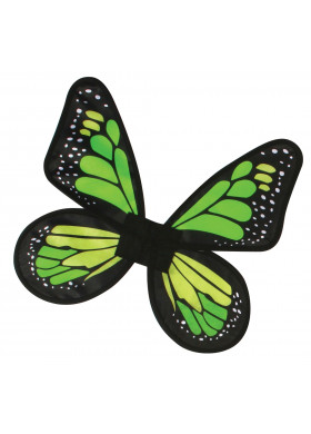 Атласные крылья Бабочка зеленые
