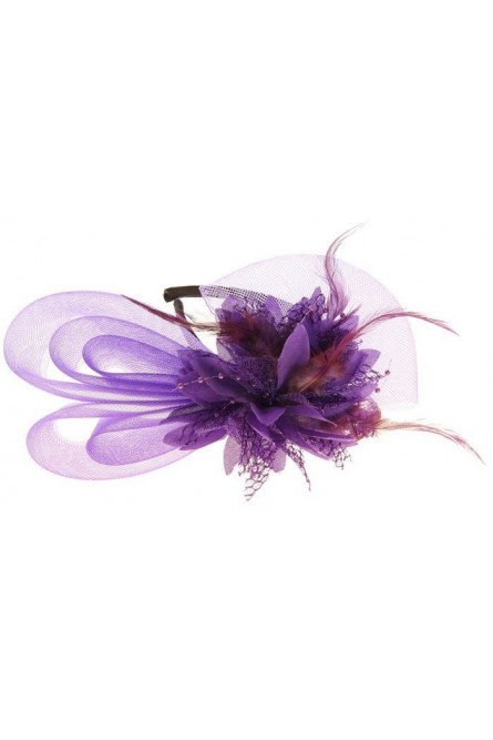 Разборный фиолетовый ободок Эхинацея