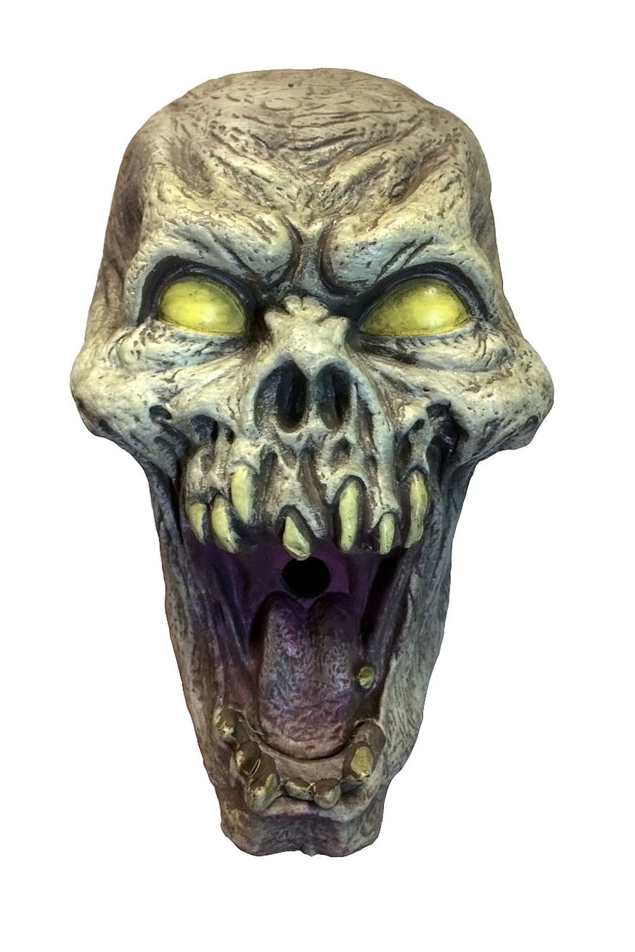 Череп с клыками. Железный череп. Череп пластиковый. Череп на белом фоне. Маска с клыками.