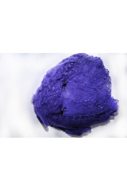 Фиолетовая паутина