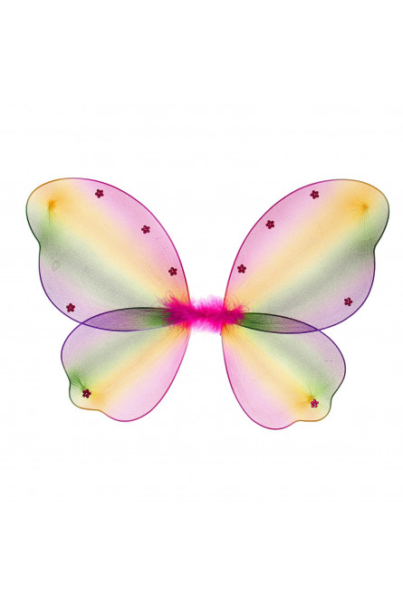 Цветные крылья Бабочка