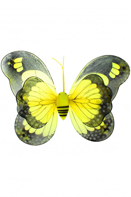 Крылья бабочки Махаона