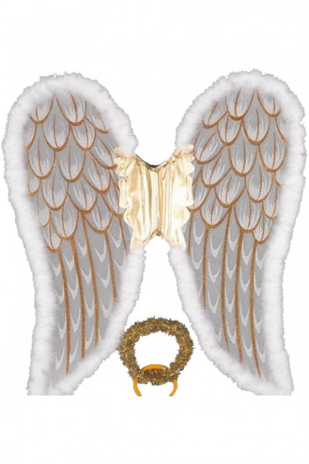 Крылья ангела с золотым нимбом