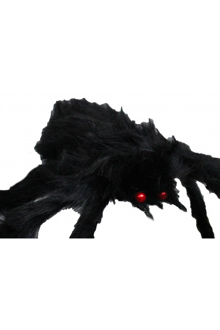 Огромный черный паук