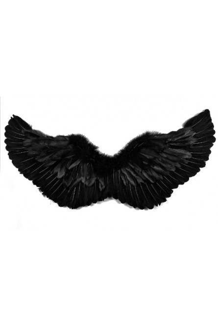 Черные перьевые крылья