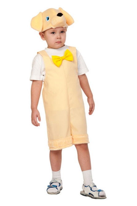 Детский костюм Лабрадора