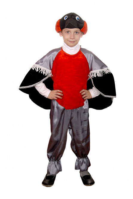 Детский костюм Зимнего Снегиря