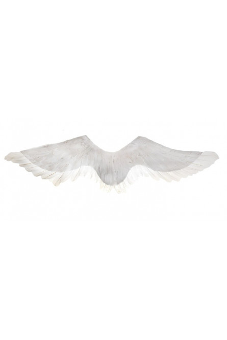 Ангельские белые крылья 105 см