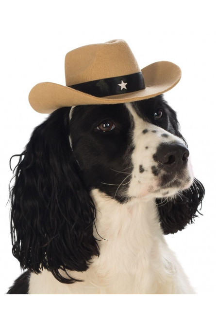 Ковбойская шляпа для собаки