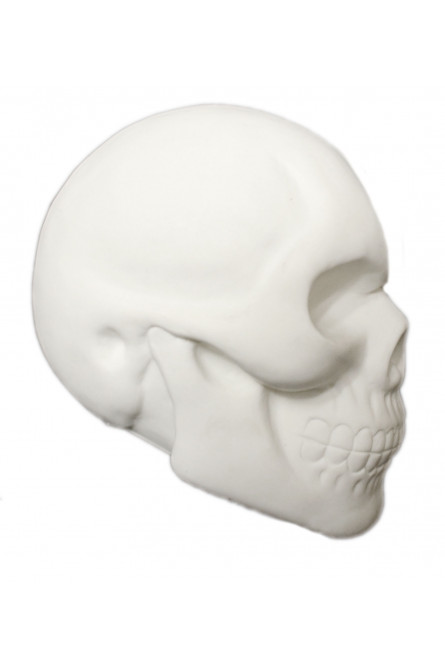 Белый череп