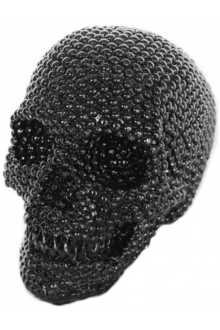 Черный блестящий череп