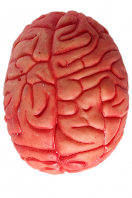 Резиновый мозг