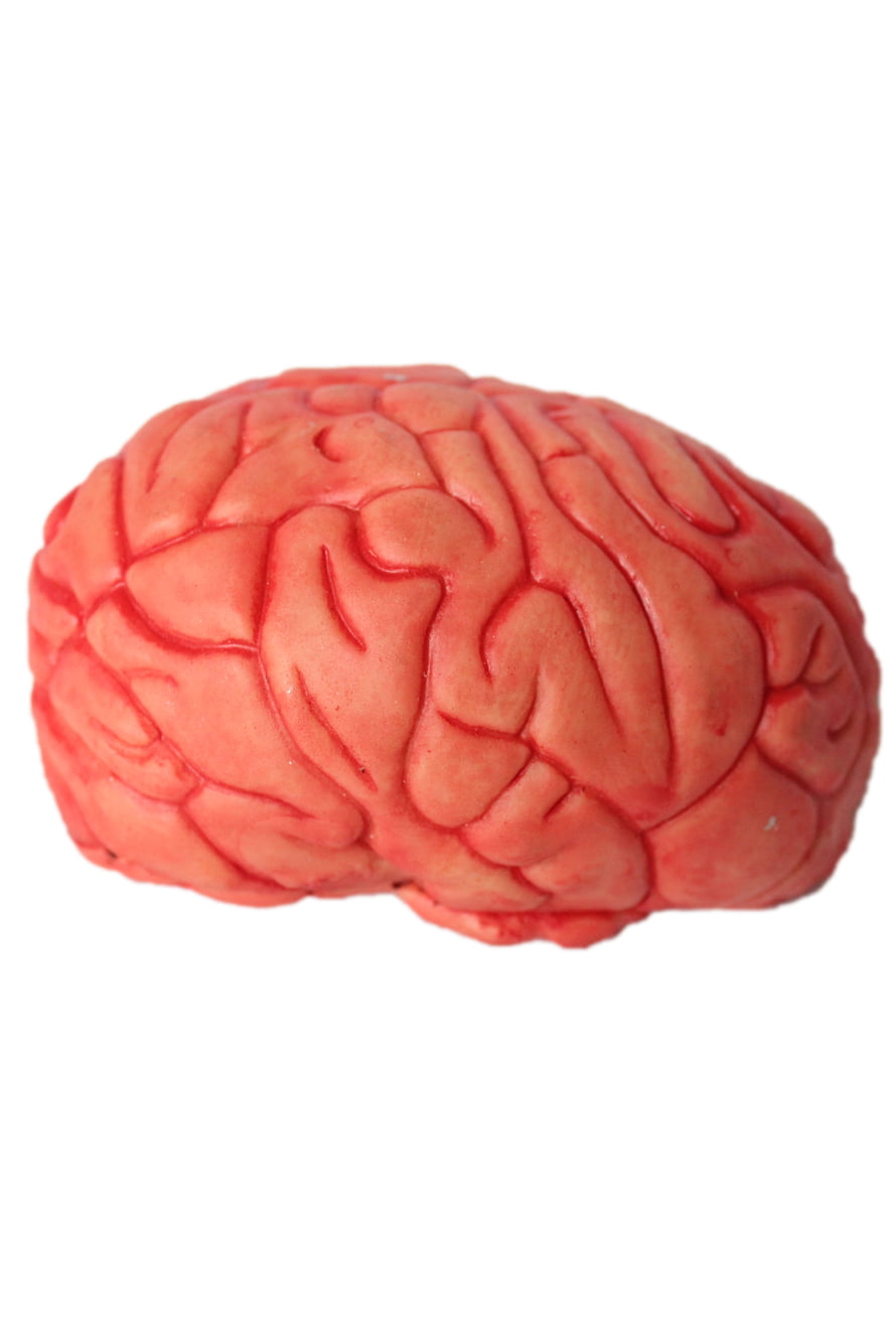 Купить бу мозги. Резиновый мозг. Мастурбатор мозги. Резиновые мозги. Мозги купить.