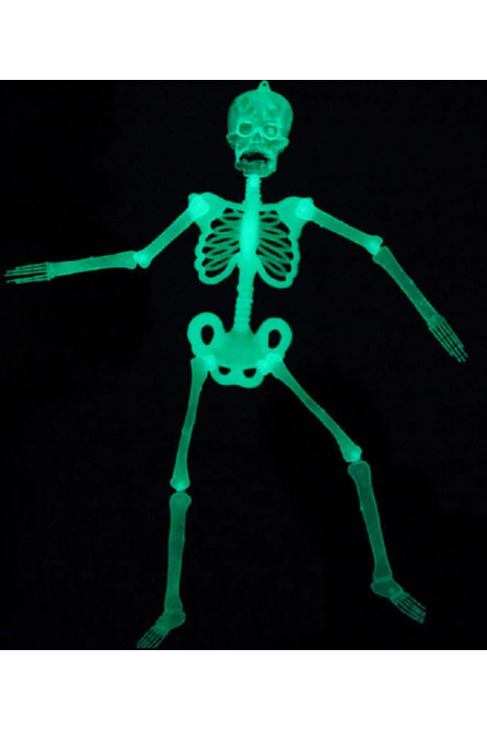 Набор из частей скелета