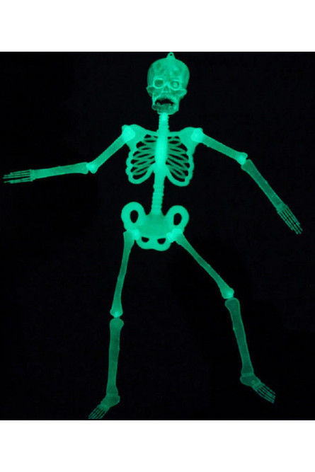 Набор из частей скелета Хэллоуин