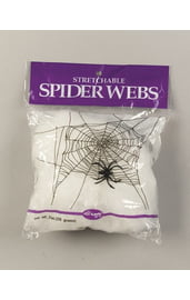 Белая паутина с пауком
