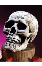Декоративный череп 20 см