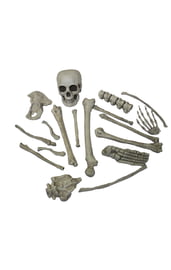 Кости скелета 18 шт