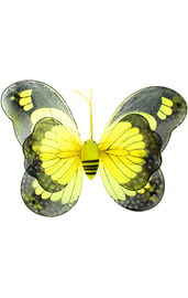 Крылья бабочки Махаона