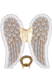Крылья ангела с золотым нимбом