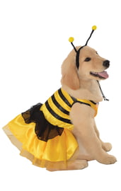 Костюм пчелы для собаки