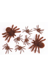 Восемь коричневых пауков