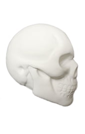 Белый череп