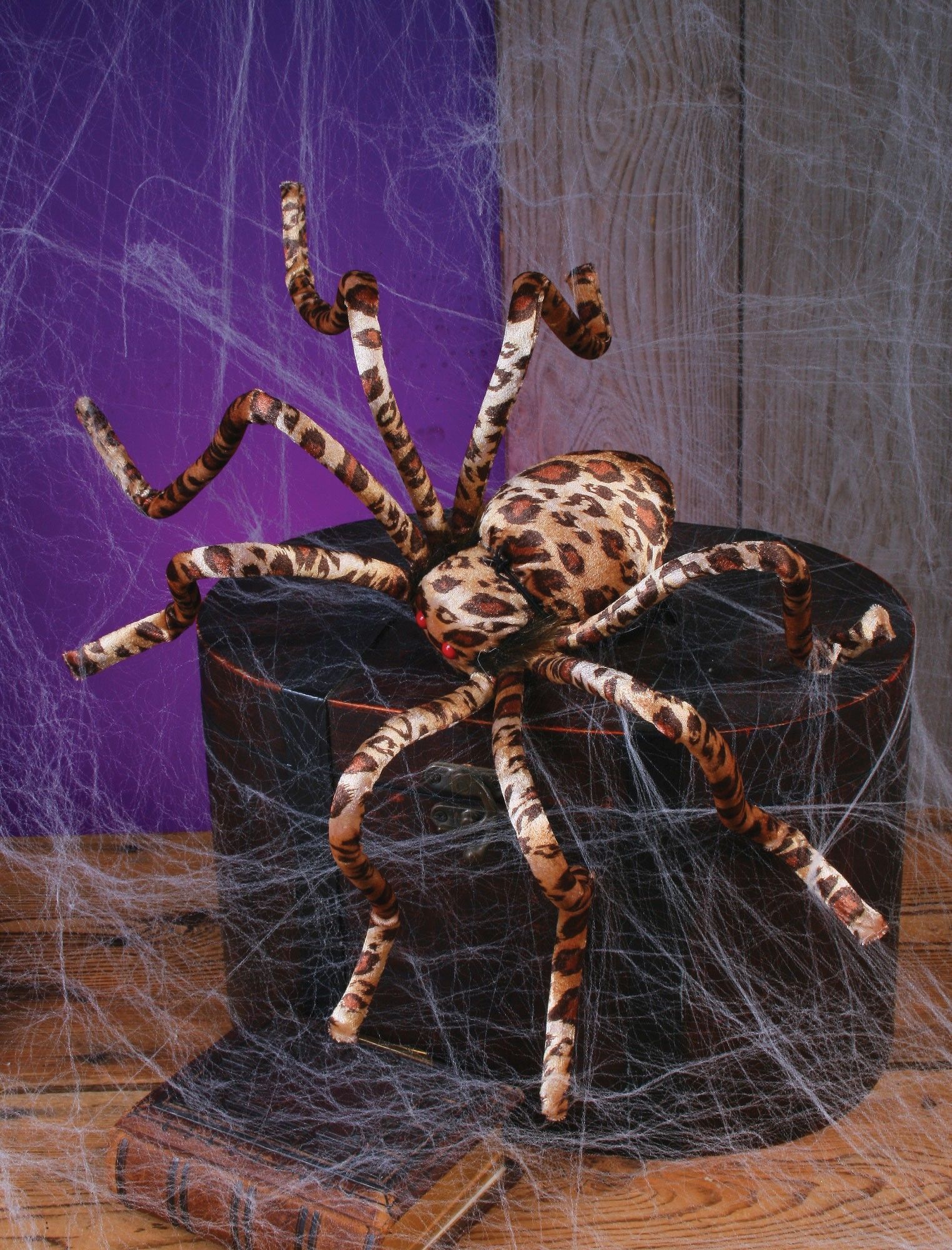леопардовый паук